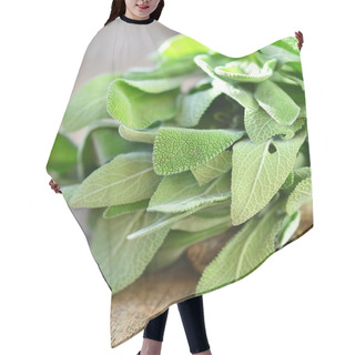 Personality  Sage Hair Cutting Cape