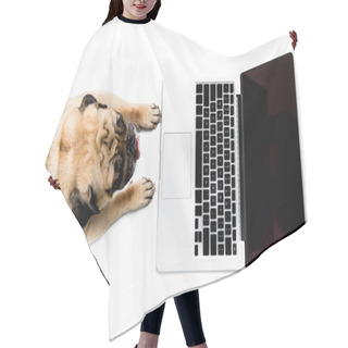 Personality  Pug Dog With Laptop Hair Cutting Cape