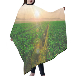 Personality  Cornfield At Sunrise Hair Cutting Cape