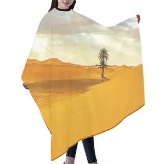 Personality  Sand Dunes And Palm In The Sahara Desert Hair Cutting Cape