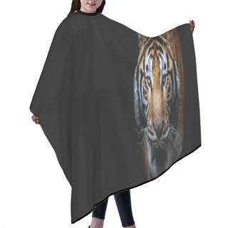 Personality  Tiger With A Black Background Hair Cutting Cape