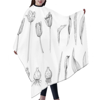 Personality  Monochrome Set Of Details Of Tulip Flowers Of Different Varietie Hair Cutting Cape