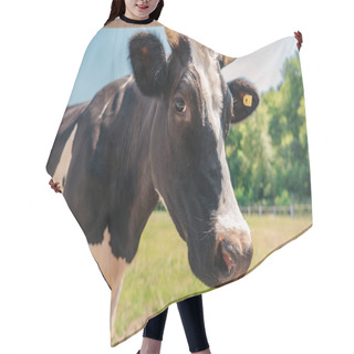 Personality  Cow On Sunny Pasture Hair Cutting Cape