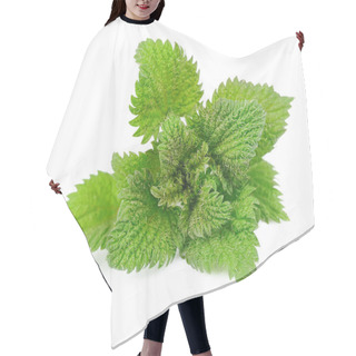 Personality  Nettle Herbs Hair Cutting Cape