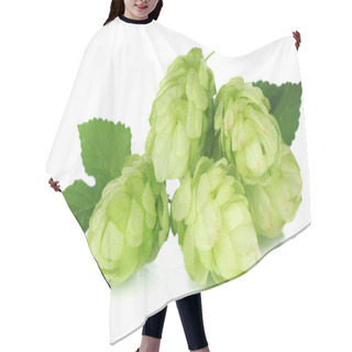 Personality  Fresh Green Hops, Isolated On White Hair Cutting Cape