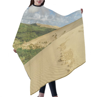 Personality  Giant Sand Dunes Hair Cutting Cape