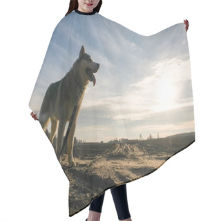 Personality  Malamute Dog Hair Cutting Cape