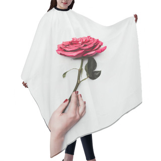 Personality  Female Hand Holding Rose Flower Isolated On White Hair Cutting Cape