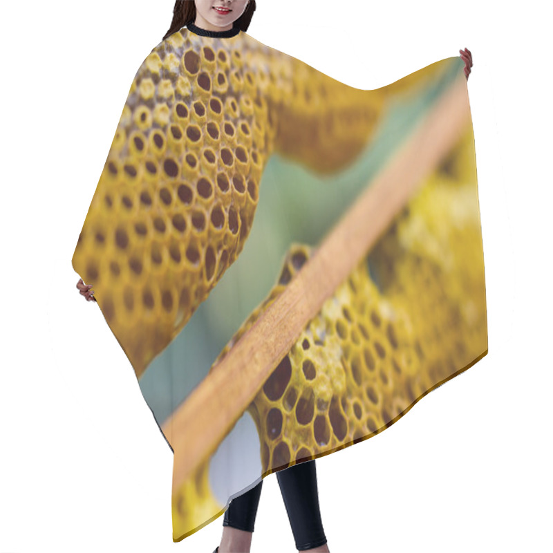 Personality  Honeycomb Cells Close-up With Honey Hair Cutting Cape