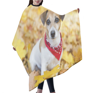 Personality  Jack Russell Terrier Hair Cutting Cape