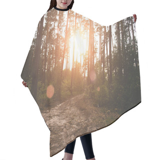 Personality  Sunrise In Forest Hair Cutting Cape