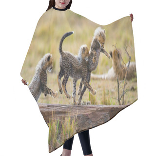 Personality  Playing Cubs Cheetah Hair Cutting Cape