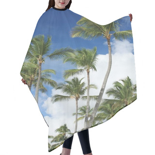 Personality  Exotic Coconut Palm Trees On The Beach Hair Cutting Cape