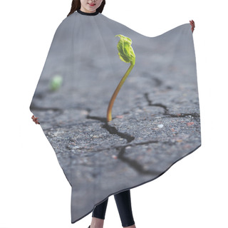Personality  Growing Plant Hair Cutting Cape