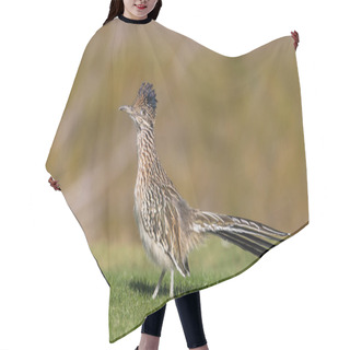 Personality  A Roadrunner In The Arizona Desert Hair Cutting Cape