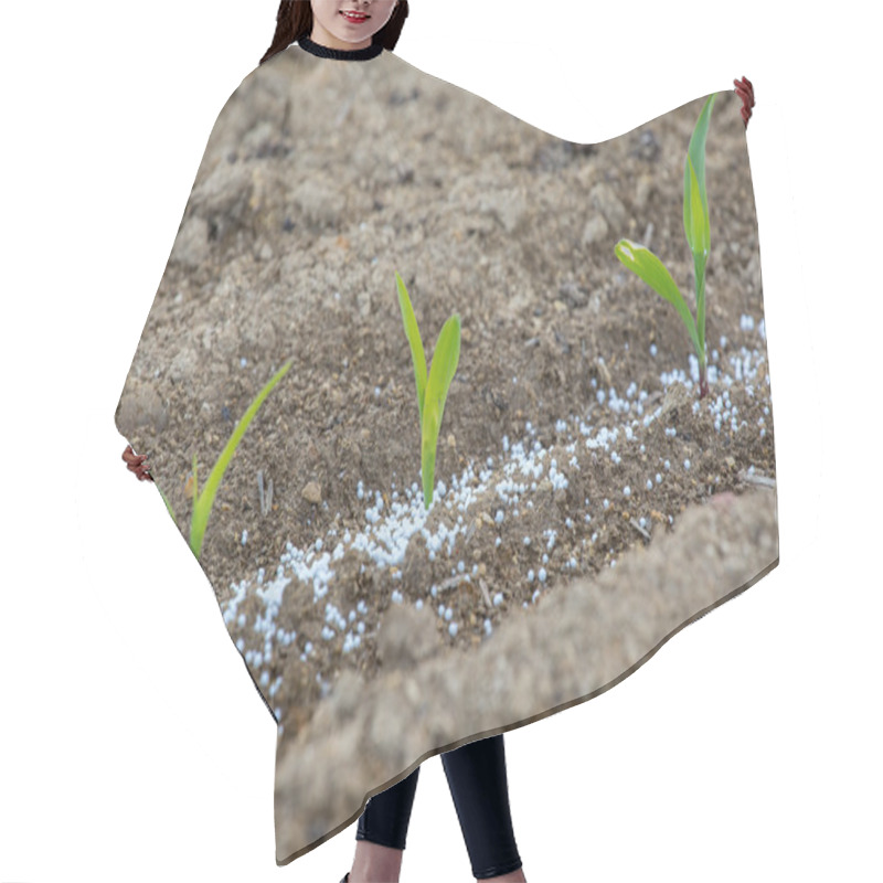 Personality  Young Corn And Fertilizers Hair Cutting Cape