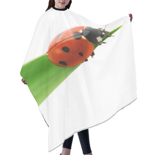 Personality  Ladybird On Green Leaf Hair Cutting Cape