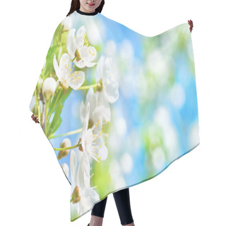 Personality  White Flowers On Blossom Cherry Tree Hair Cutting Cape