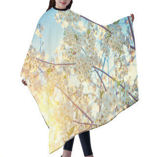 Personality  Blossom Of Cherry Tree Hair Cutting Cape