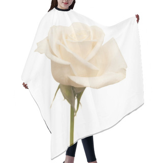 Personality  Very Pale Rose Hair Cutting Cape