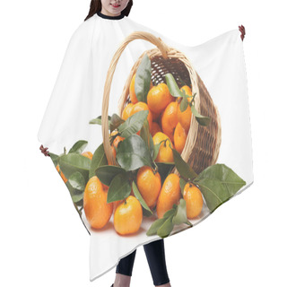 Personality  Juicy Tangerines Hair Cutting Cape