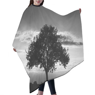 Personality  Tree In Black And White Hair Cutting Cape