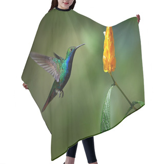 Personality  Green And Blue Hummingbird Hair Cutting Cape