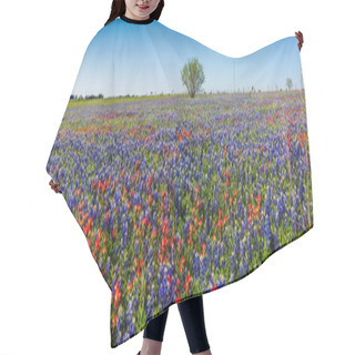 Personality  A Wide Angle High Resolution Panoramic View Of A Beautiful Field Of Texas Wildflowers. Hair Cutting Cape