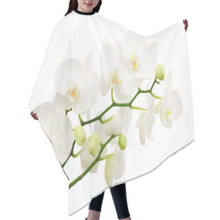 Personality  Long Branches Of Bouquet Delicate White Orchid Flowers Isolated Hair Cutting Cape