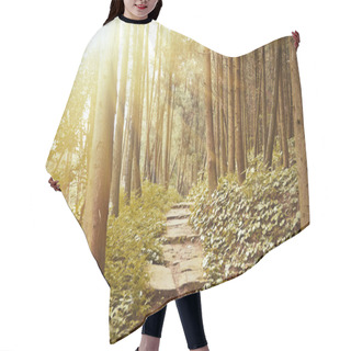 Personality  Mountain Trail In The Pine Forest Hair Cutting Cape