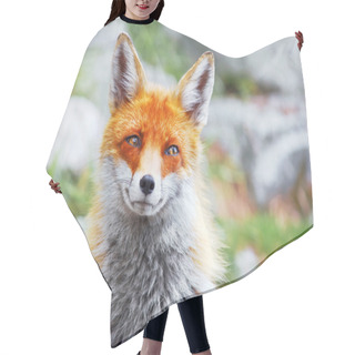Personality  Red Fox Hair Cutting Cape