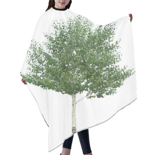 Personality  Birch Tree. Hair Cutting Cape