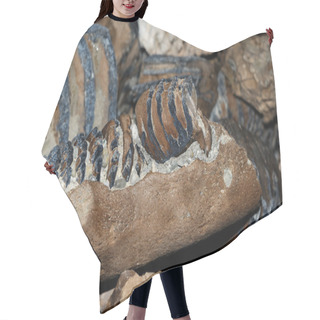 Personality  Mammoth Jaw Hair Cutting Cape