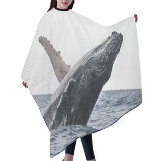 Personality  Whale Jumping In The Air Hair Cutting Cape