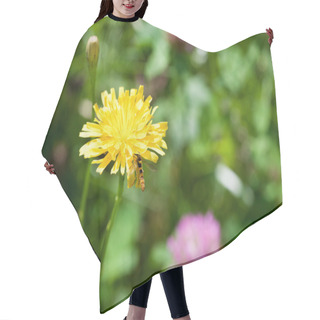 Personality  Flower Sonchus And Hoverfly Hair Cutting Cape