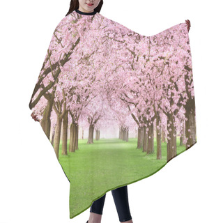 Personality  Gourgeous Cherry Trees In Full Blossom Hair Cutting Cape