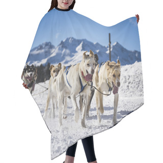Personality  Sledge Dogs In Speed Racing Hair Cutting Cape