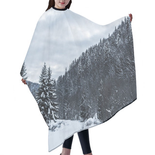 Personality  Scenic View Of Snowy Carpathian Mountains With Pines In Winter  Hair Cutting Cape