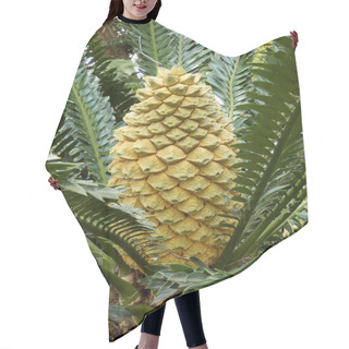 Personality  Lebombo Cycad Hair Cutting Cape