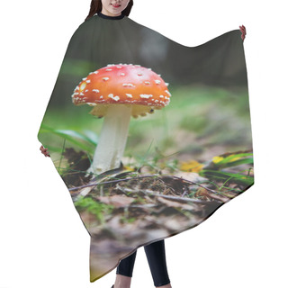 Personality  Fly Amanita Hair Cutting Cape