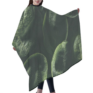 Personality  Dark Floral Background With Fresh Green Leaves And Water Drops Hair Cutting Cape