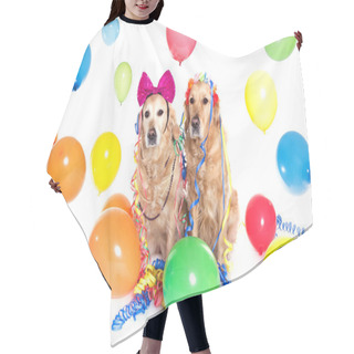 Personality  Two Golden Retriever  At Party Hair Cutting Cape