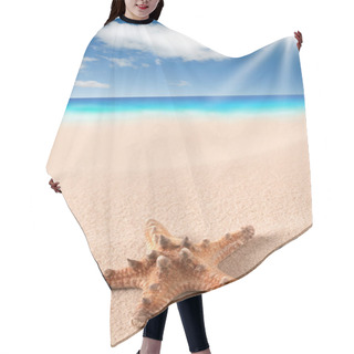 Personality  Sea Starfish On Sandy Beach. Star Fish In Sand With Clouds And Sea In Background. Summer Holiday Vacation. Hair Cutting Cape