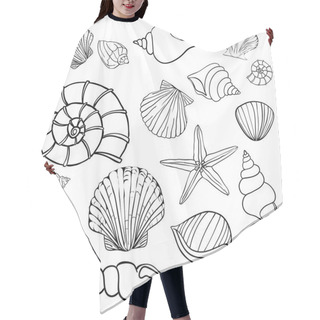 Personality  Hand Drawn Vector Illustrations - Collection Of Seashells. Marine Set. Hair Cutting Cape