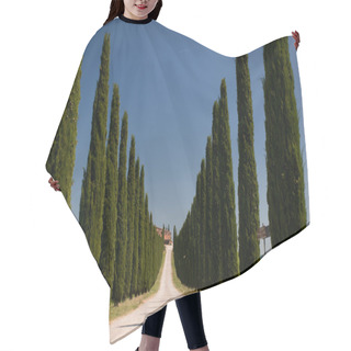 Personality  Alley Of Cypress In Val D'orcia Hair Cutting Cape
