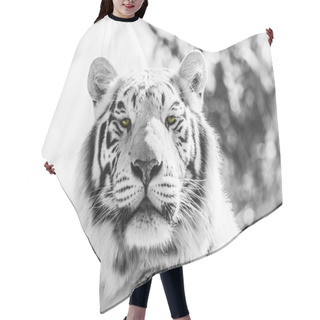 Personality  Black And White Majestic Tiger Portrait Hair Cutting Cape