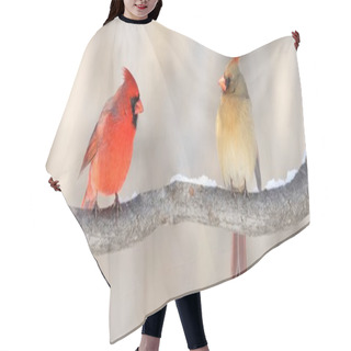 Personality  Couple Of Red Cardinals Hair Cutting Cape