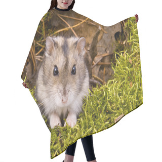 Personality  Little Dwarf Hamster Hair Cutting Cape