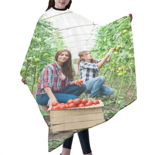 Personality  Young Smiling Agriculture Woman Worker In Front And Colleague In Back Hair Cutting Cape