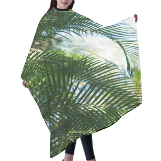 Personality  Palm Branches Hair Cutting Cape